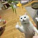 zero ឵឵-profile-pic